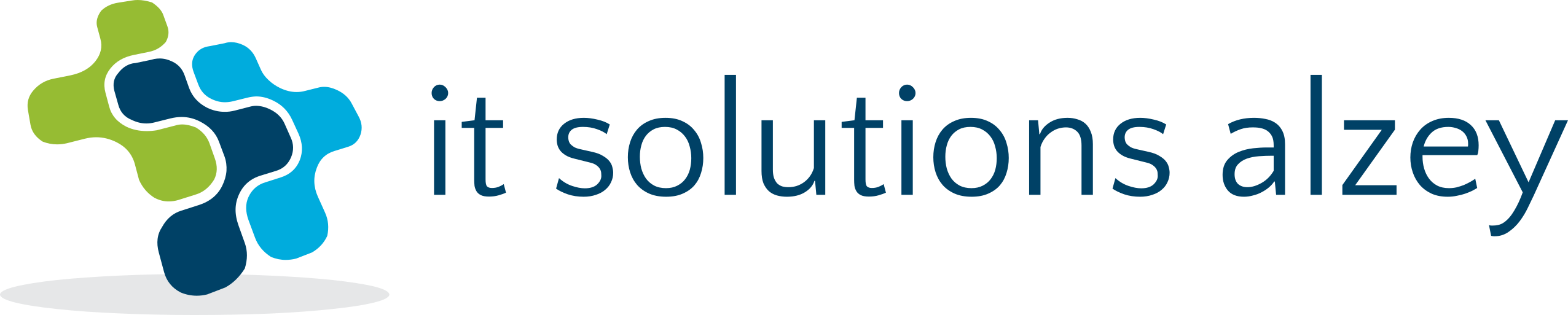 it solutions alzey